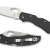 Cara Cara® 2 FRN-Spyderco Online